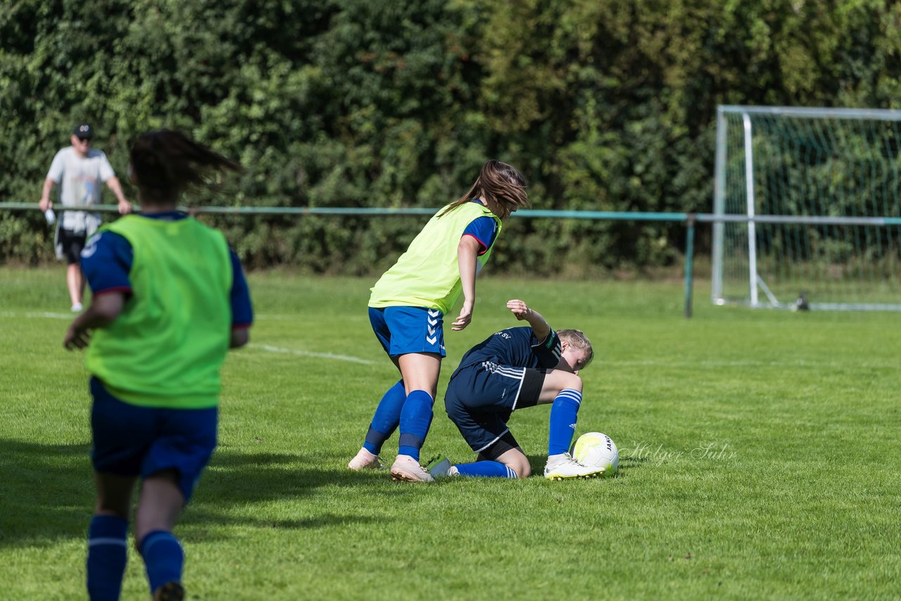 Bild 107 - B-Juniorinnen VfL Pinneberg - HSV : Ergebnis: 1:4